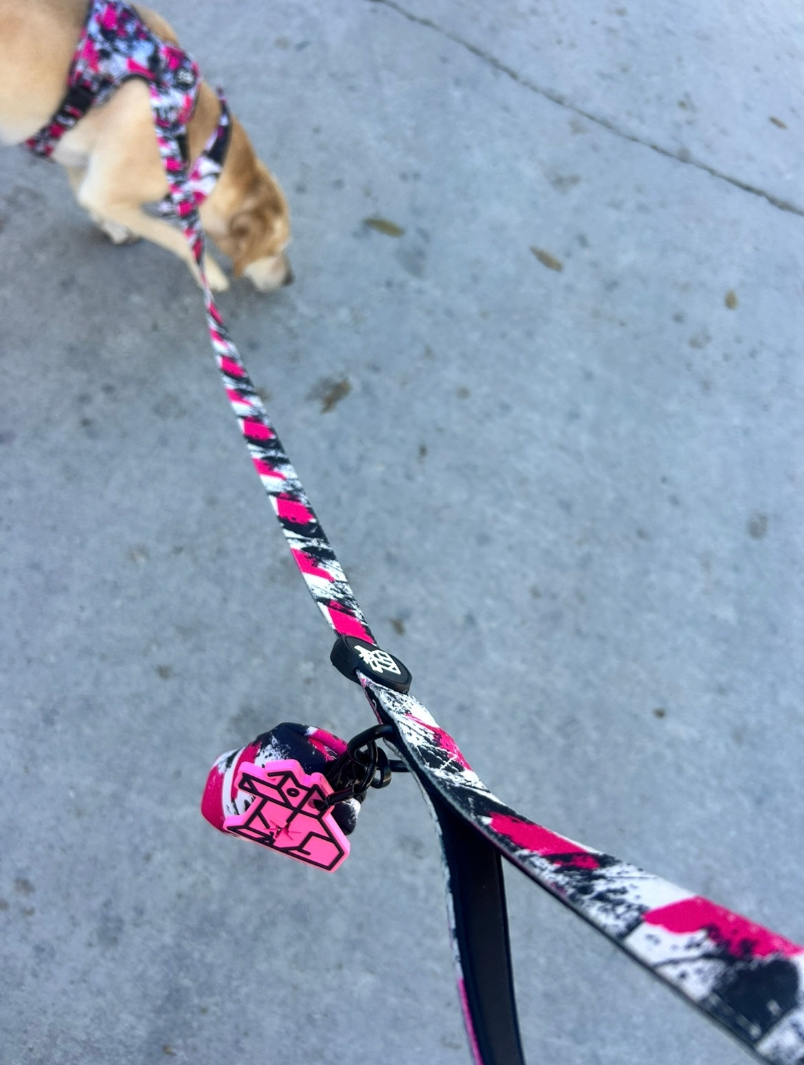 Porta bolsas para excrementos – Paseos manos libres | FRENCHTOUTOU