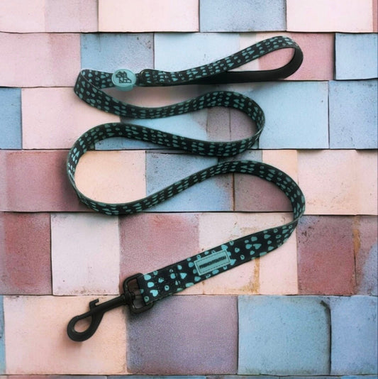 Laisse pour chien résistante – Confort et liberté | FRENCHTOUTOU - FRENCHTOUTOU®