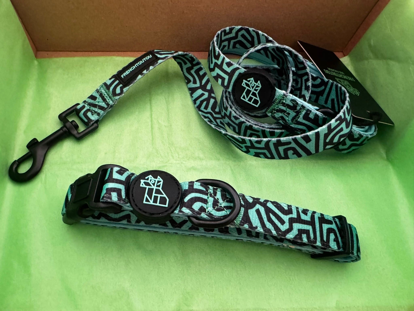 PACK CORREA+COLLAR