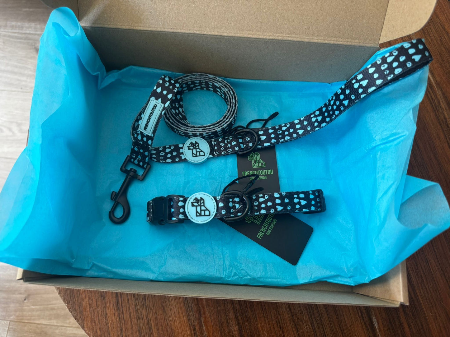 PACK CORREA+COLLAR