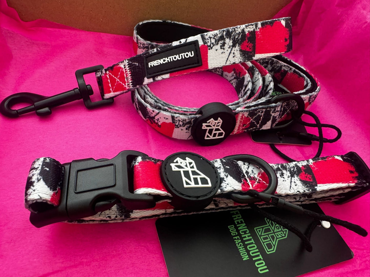 PACK CORREA+COLLAR