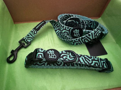 PACK CORREA+COLLAR