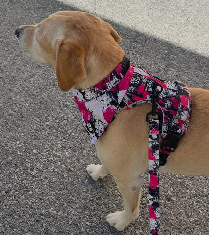 Bandana para perro con estilo – Accesorio urbano | FRENCHTOUTOU 