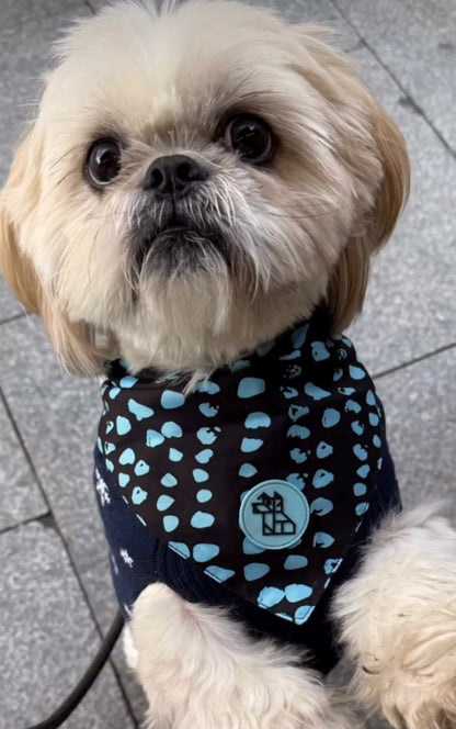 Bandana para perro con estilo – Accesorio urbano | FRENCHTOUTOU 