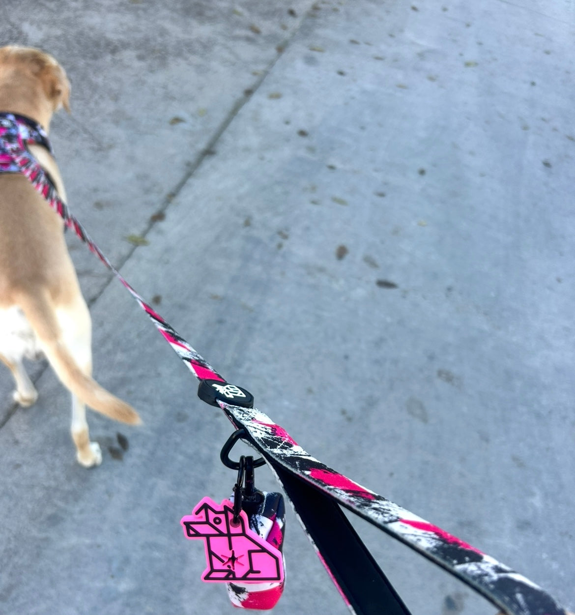 Porta bolsas para excrementos – Paseos manos libres | FRENCHTOUTOU 