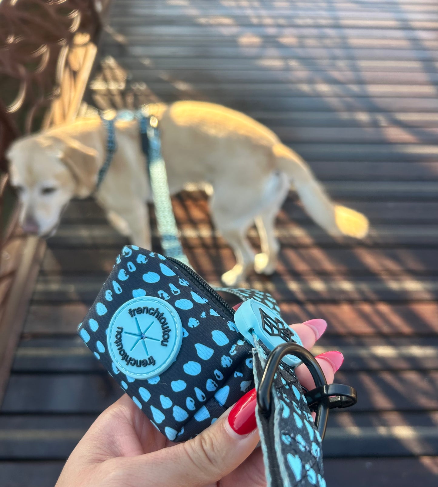 Dispensador de bolsas para excrementos – Práctico y compacto | FRENCHTOUTOU 