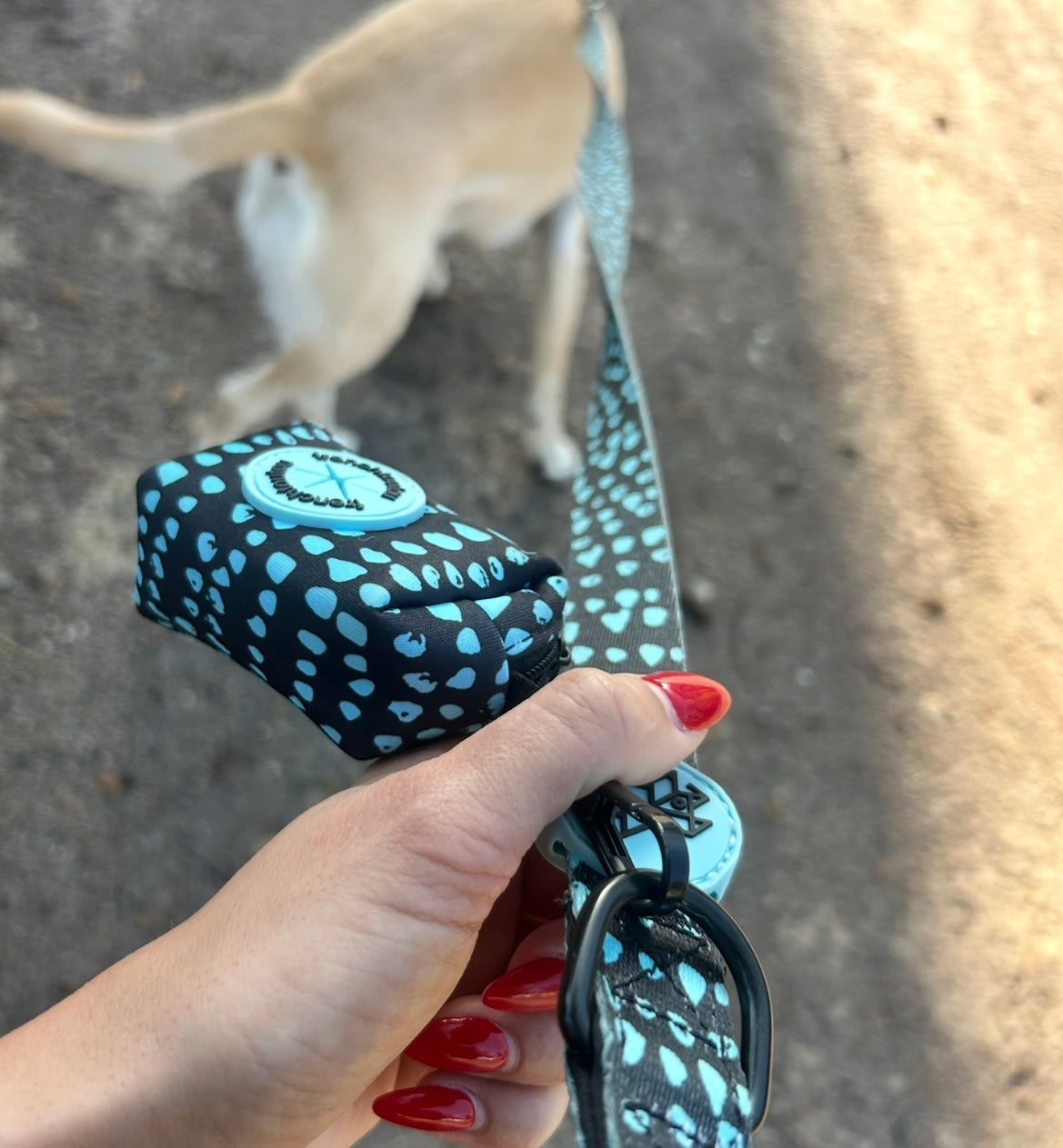 Dispensador de bolsas para excrementos – Práctico y compacto | FRENCHTOUTOU 