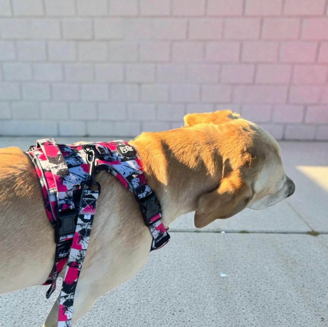 Arnés resistente para perro – Sujeción y seguridad | FRENCHTOUTOU 