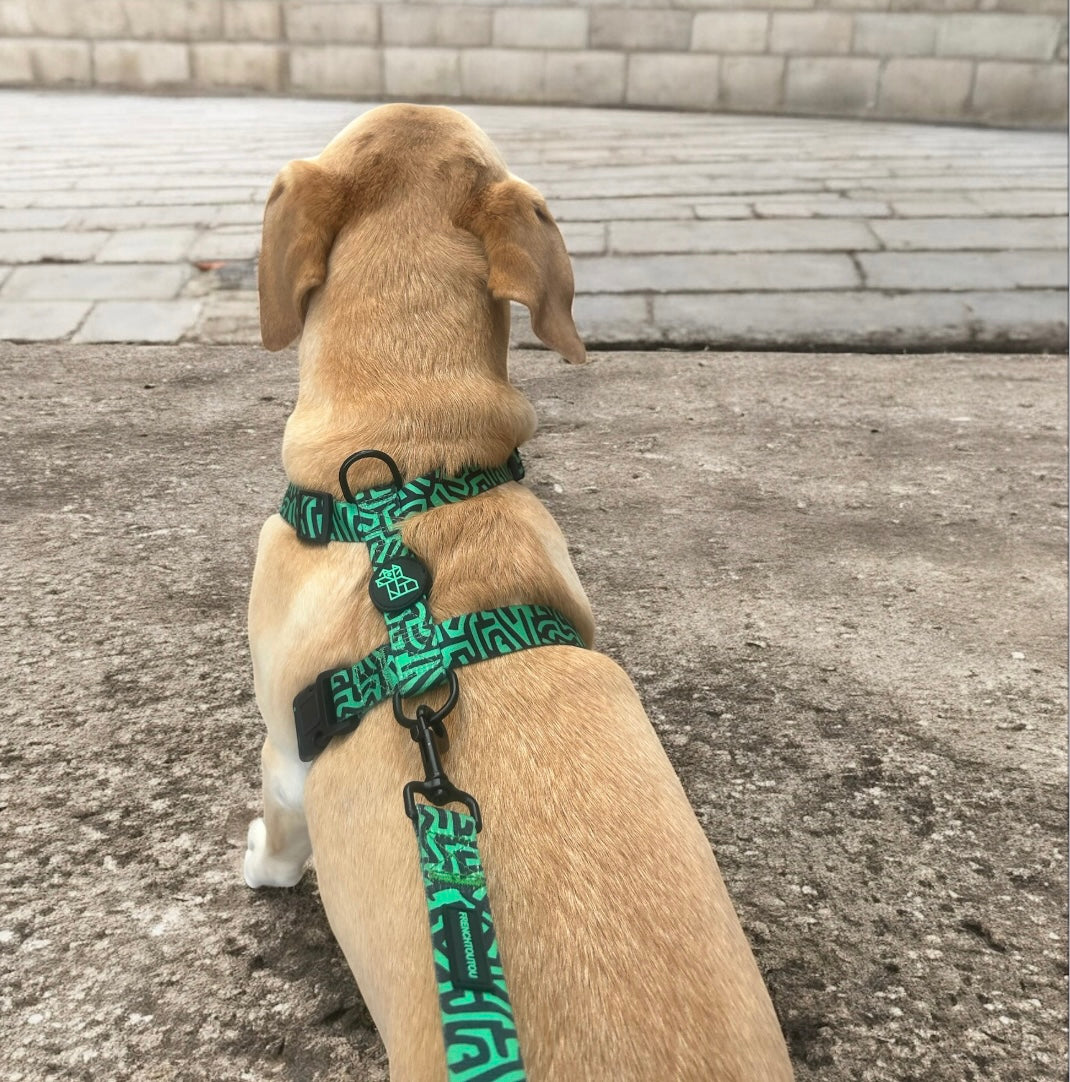 Arnés para perro en forma H – Sujeción reforzada | FRENCHTOUTOU