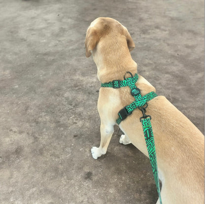 Arnés para perro en forma H – Sujeción reforzada | FRENCHTOUTOU