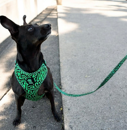 Correa resistente para perro – Comodidad y libertad | FRENCHTOUTOU 