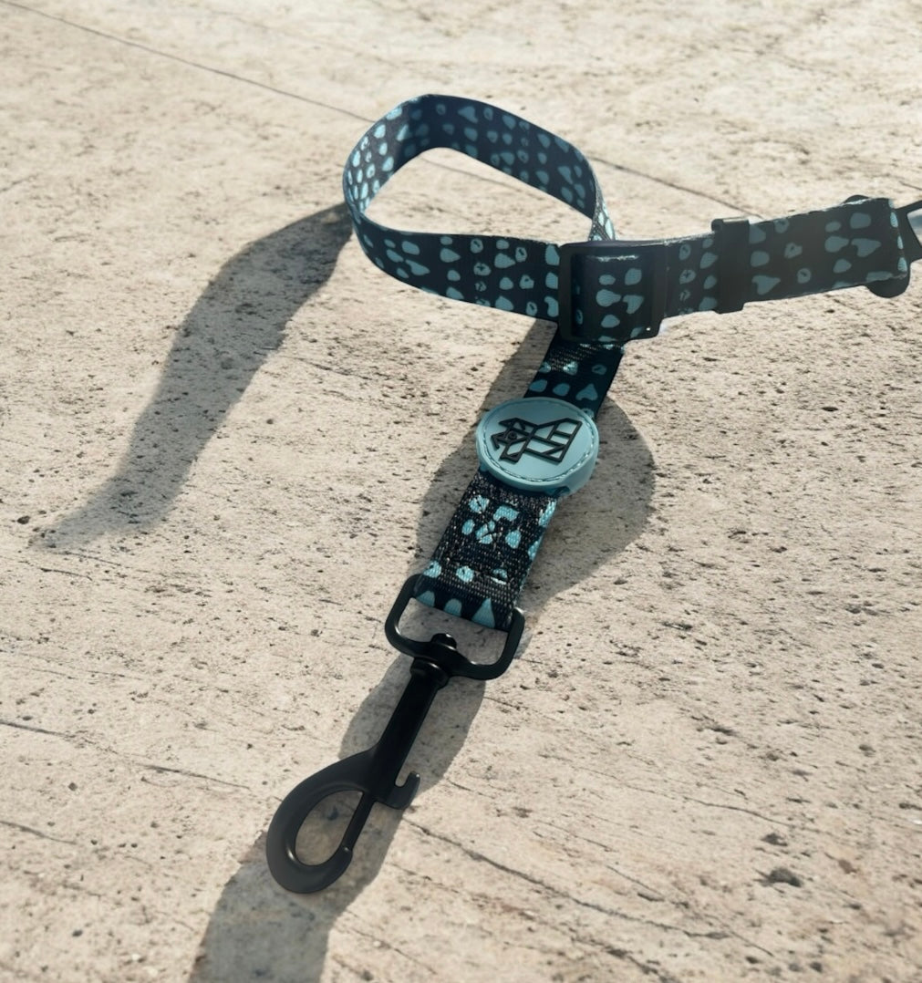 Cinturón de seguridad para perro – Viaje seguro y cómodo | FRENCHTOUTOU 