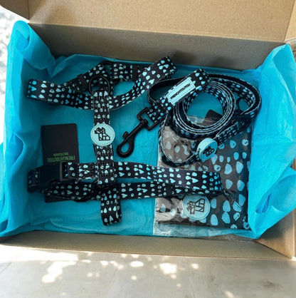 PACK URBAN WALK BANDANA