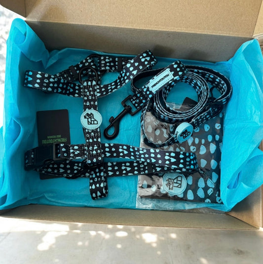PACK URBAN WALK BANDANA