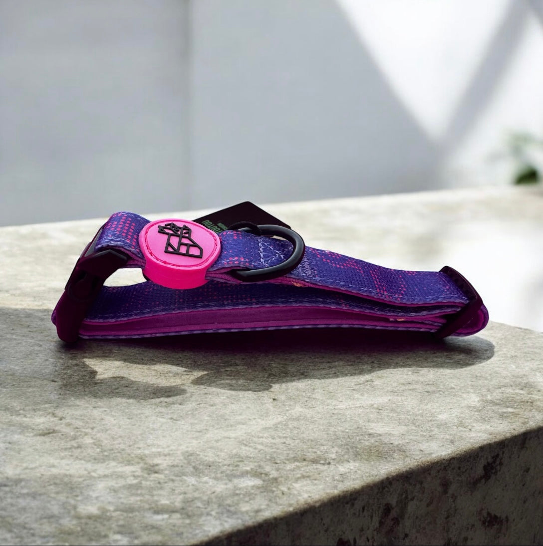 Collar ajustable para perro – Comodidad y estilo | FRENCHTOUTOU 