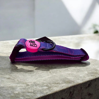 Collar ajustable para perro – Comodidad y estilo | FRENCHTOUTOU 