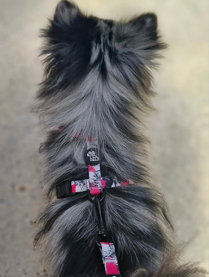 Arnés para perro en forma H – Sujeción reforzada | FRENCHTOUTOU