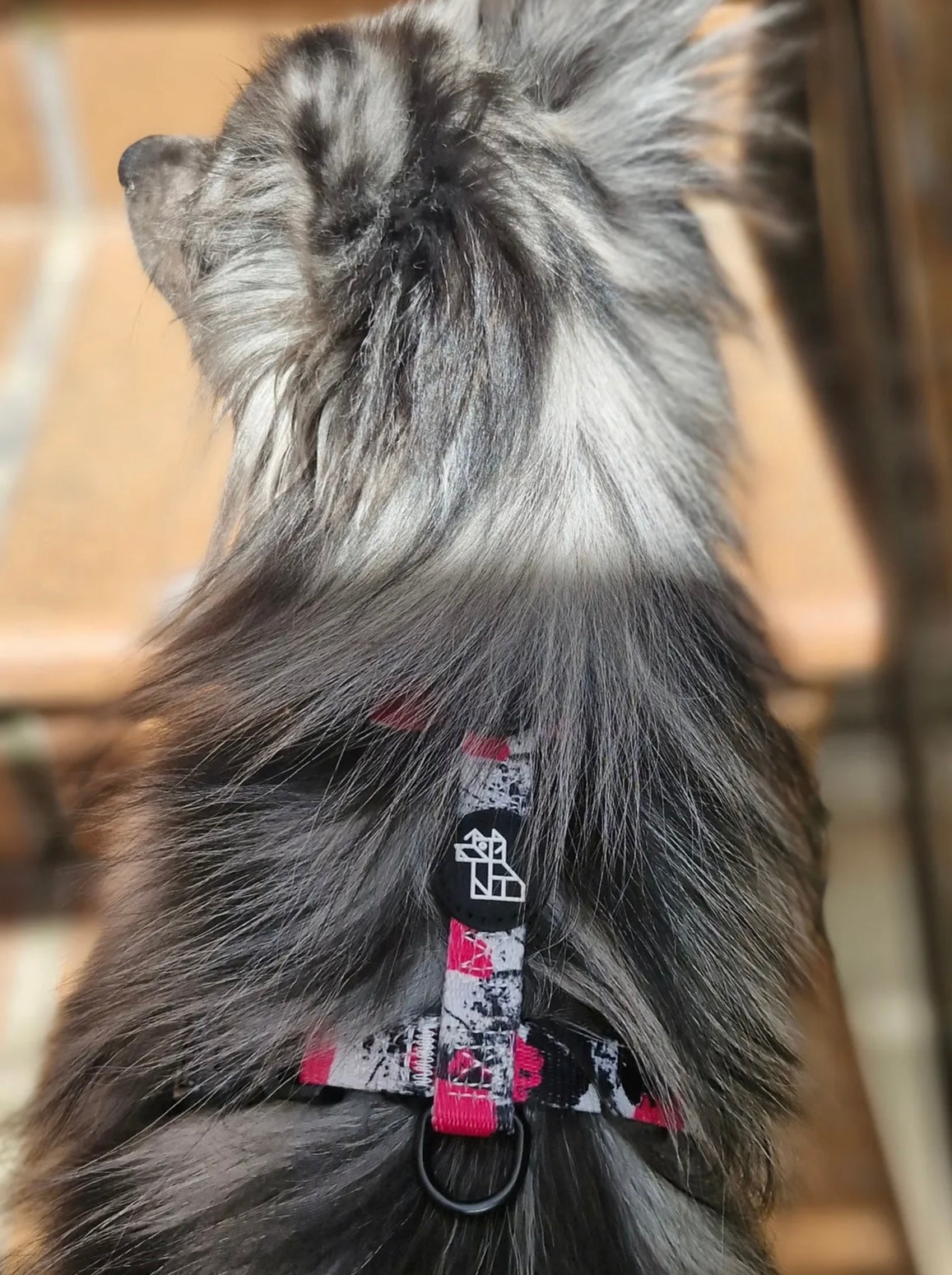 Arnés para perro en forma H – Sujeción reforzada | FRENCHTOUTOU