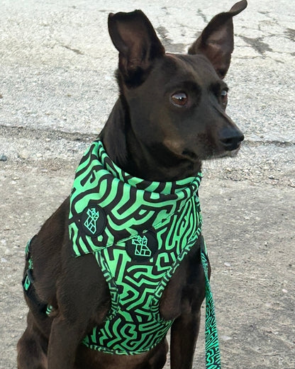 Bandana para perro con estilo – Accesorio urbano | FRENCHTOUTOU 