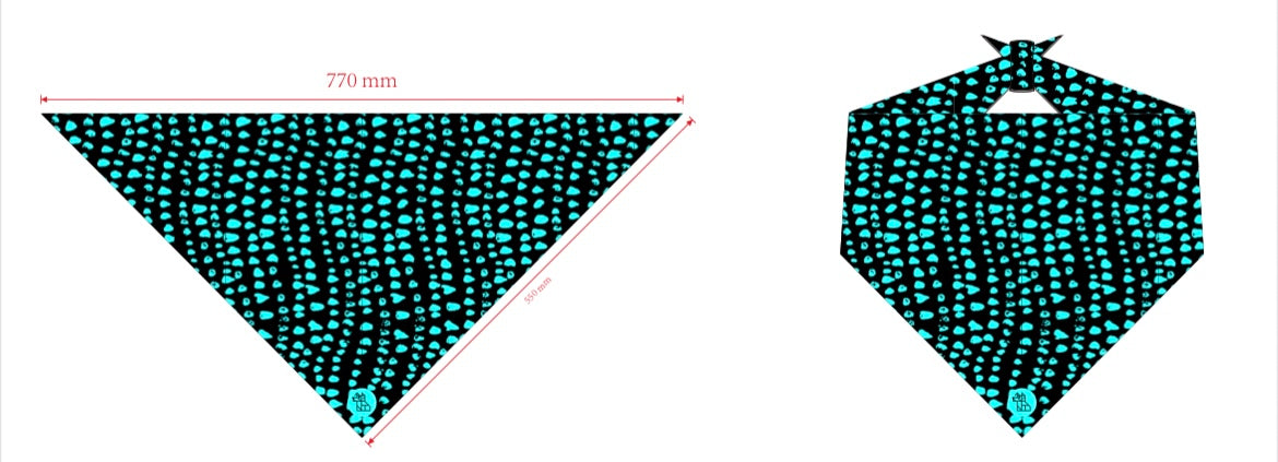 PAÑUELO 