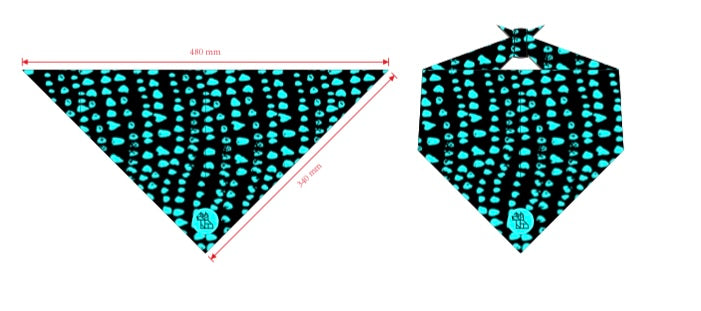 PAÑUELO 