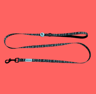 LEASH