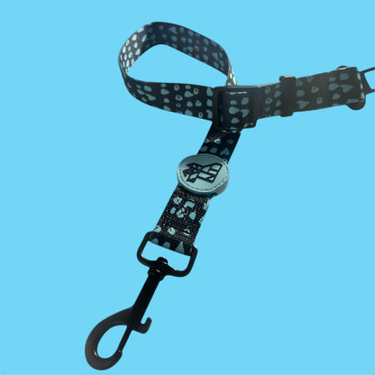 CINTURÓN DE SEGURIDAD 