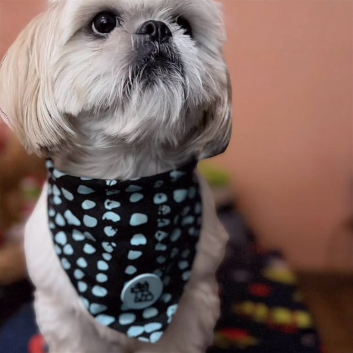 Bandana para perro con estilo – Accesorio urbano | FRENCHTOUTOU 