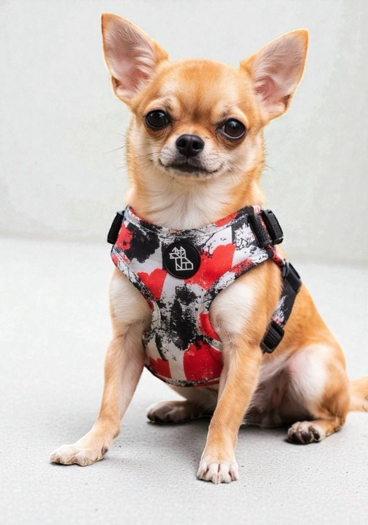 Arnés para perro Soft ajustable – Diseño urbano | FRENCHTOUTOU