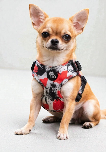 Arnés para perro Soft ajustable – Diseño urbano | FRENCHTOUTOU