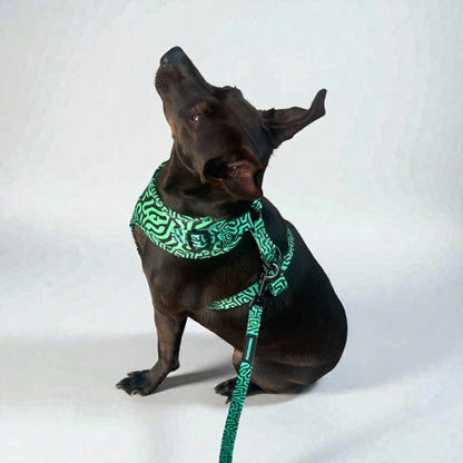 Arnés para perro Soft ajustable – Diseño urbano | FRENCHTOUTOU