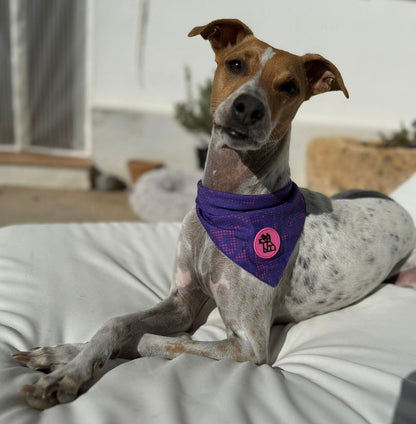 Bandana pour chien stylé – Accessoire urbain | FRENCHTOUTOU - FRENCHTOUTOU®