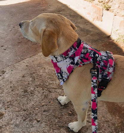 Bandana pour chien stylé – Accessoire urbain | FRENCHTOUTOU - FRENCHTOUTOU®