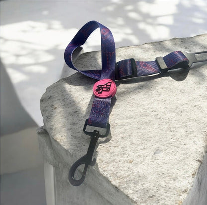 Ceinture de sécurité pour chien – Voyage sûr et confortable | FRENCHTOUTOU - FRENCHTOUTOU®