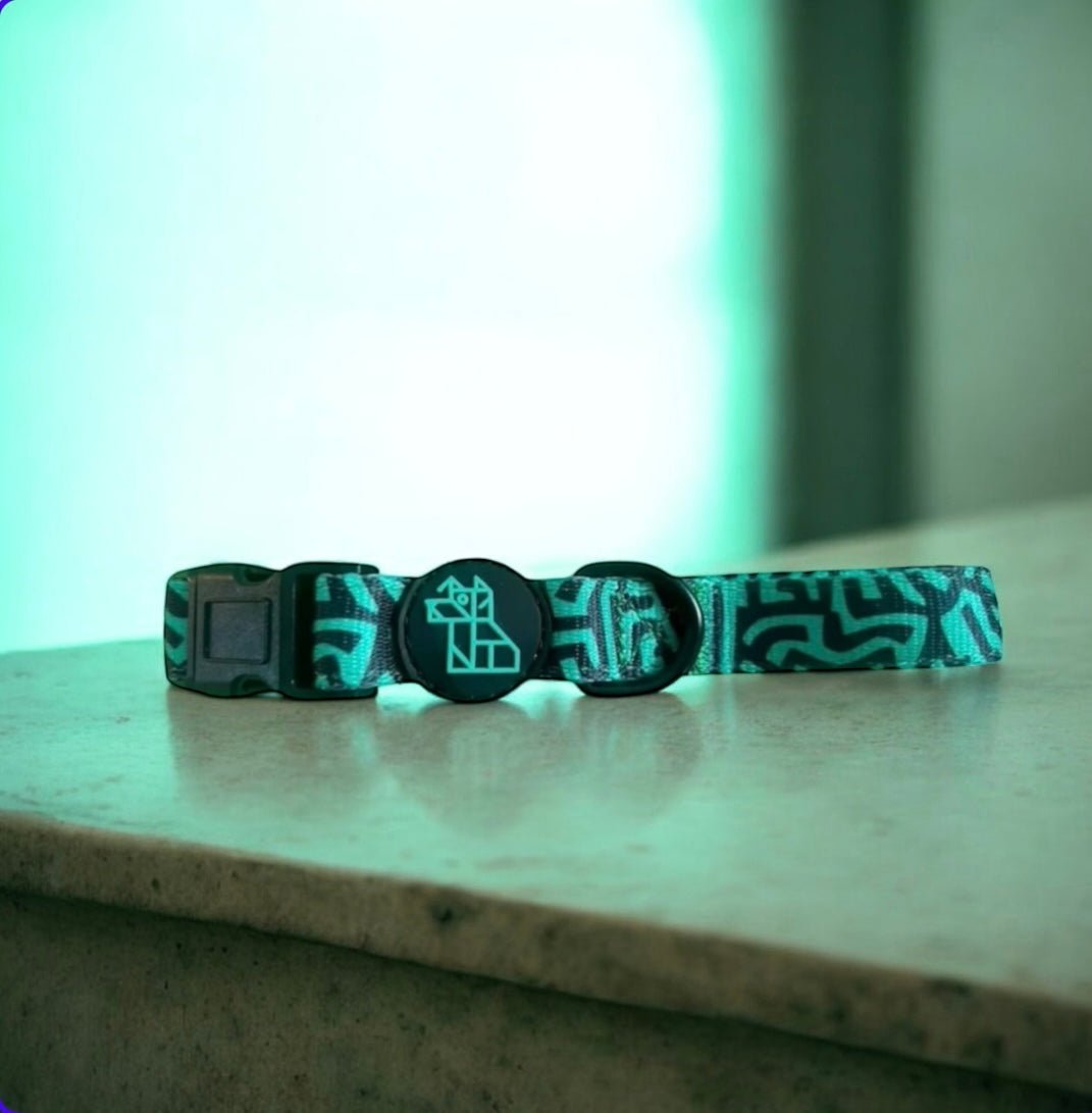 Collier pour chien ajustable – Confort et style | FRENCHTOUTOU - FRENCHTOUTOU®