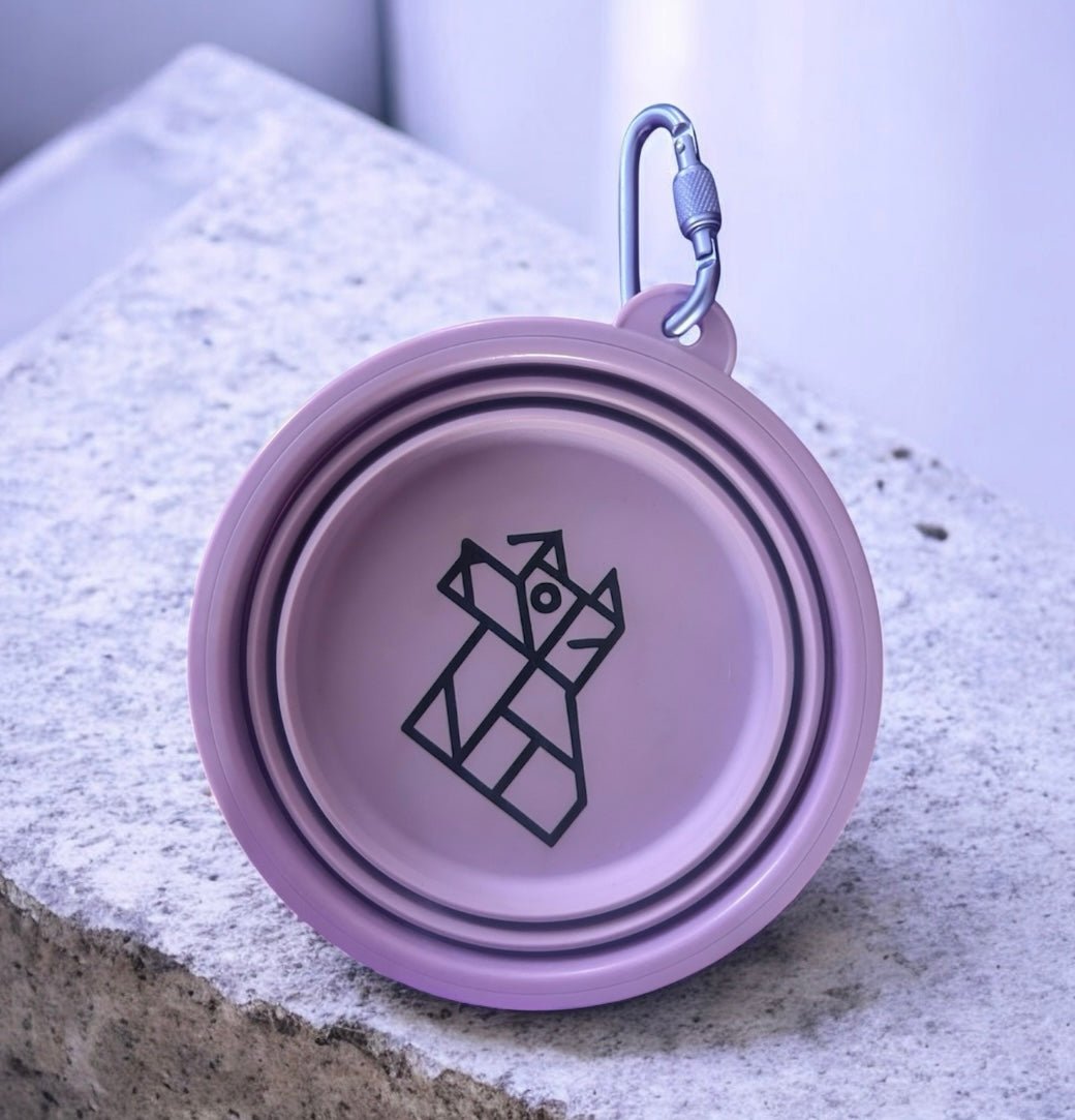 Gamelle pliable pour chien – Compacte et nomade | FRENCHTOUTOU - FRENCHTOUTOU®