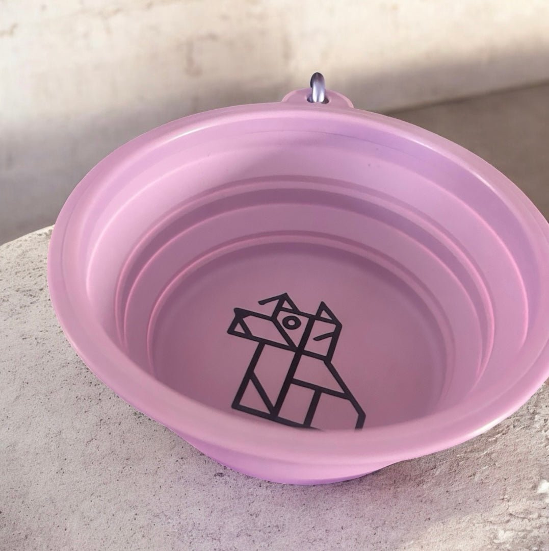 Gamelle pliable pour chien – Compacte et nomade | FRENCHTOUTOU - FRENCHTOUTOU®