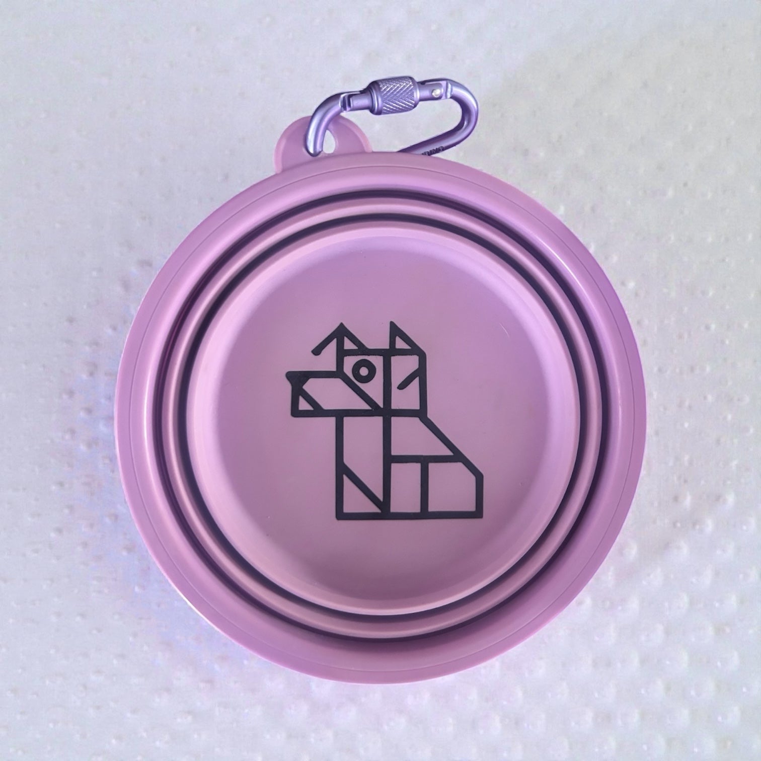 Gamelle pliable pour chien – Compacte et nomade | FRENCHTOUTOU - FRENCHTOUTOU®