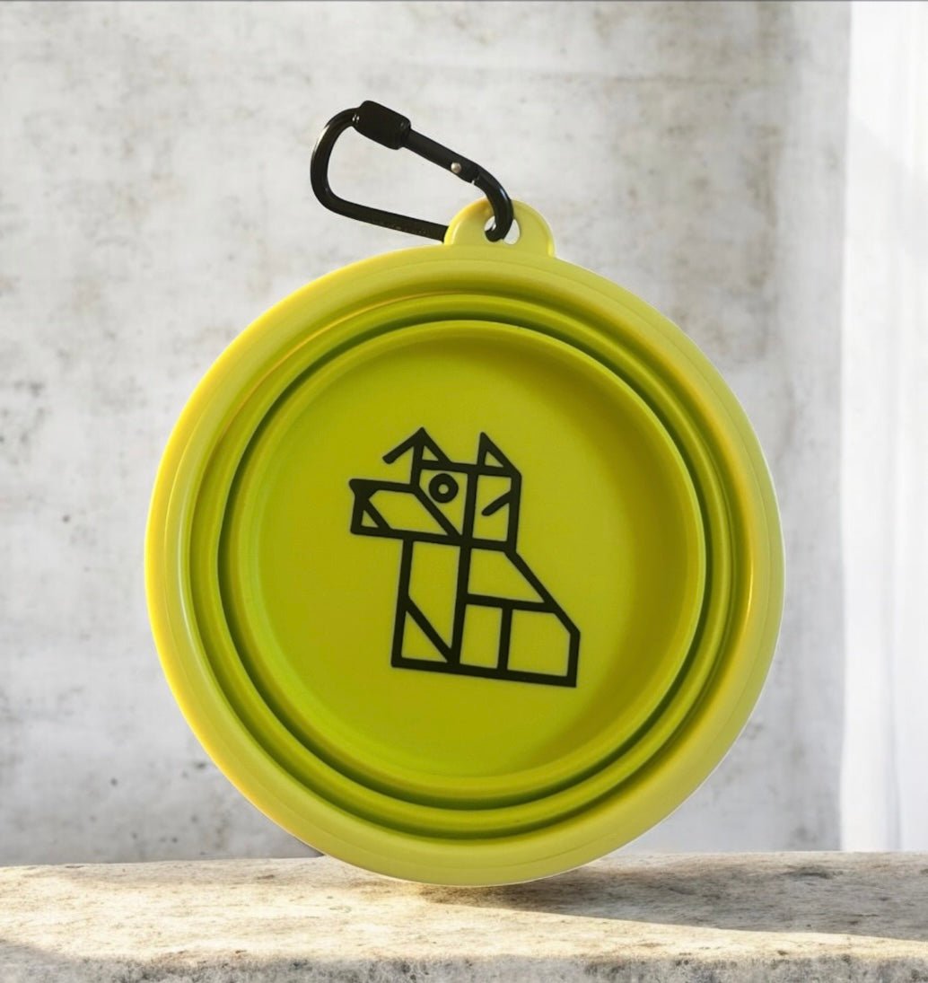 Gamelle pliable pour chien – Compacte et nomade | FRENCHTOUTOU - FRENCHTOUTOU®