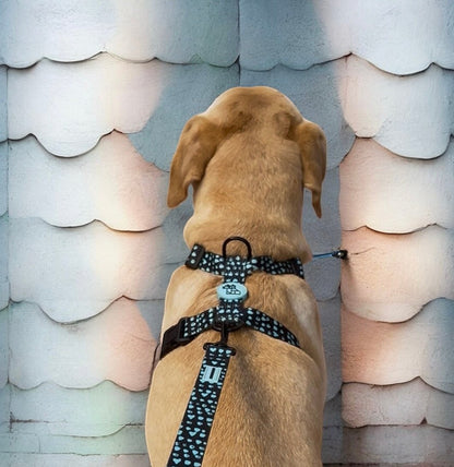 Harnais pour chien H – Maintien renforcé | FRENCHTOUTOU - FRENCHTOUTOU®