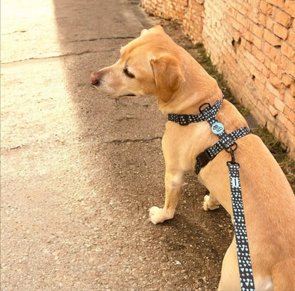 Harnais pour chien H – Maintien renforcé | FRENCHTOUTOU - FRENCHTOUTOU®