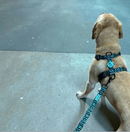 Harnais pour chien H – Maintien renforcé | FRENCHTOUTOU - FRENCHTOUTOU®