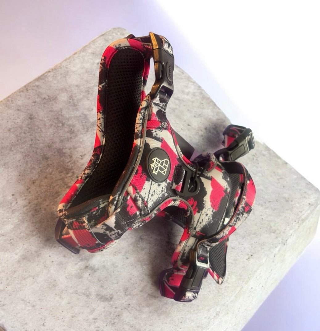 Harnais pour chien robuste – Maintien et sécurité | FRENCHTOUTOU - FRENCHTOUTOU®