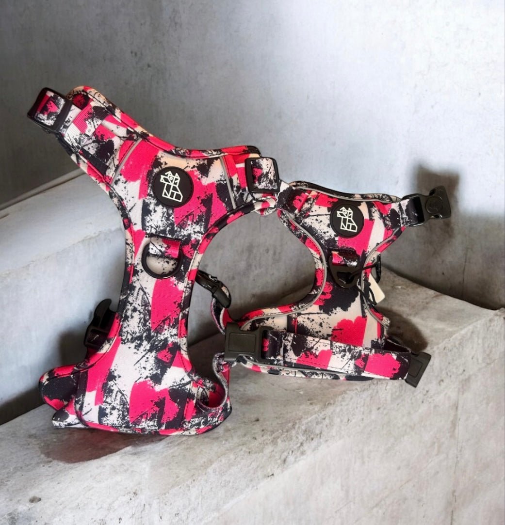 Harnais pour chien robuste – Maintien et sécurité | FRENCHTOUTOU - FRENCHTOUTOU®