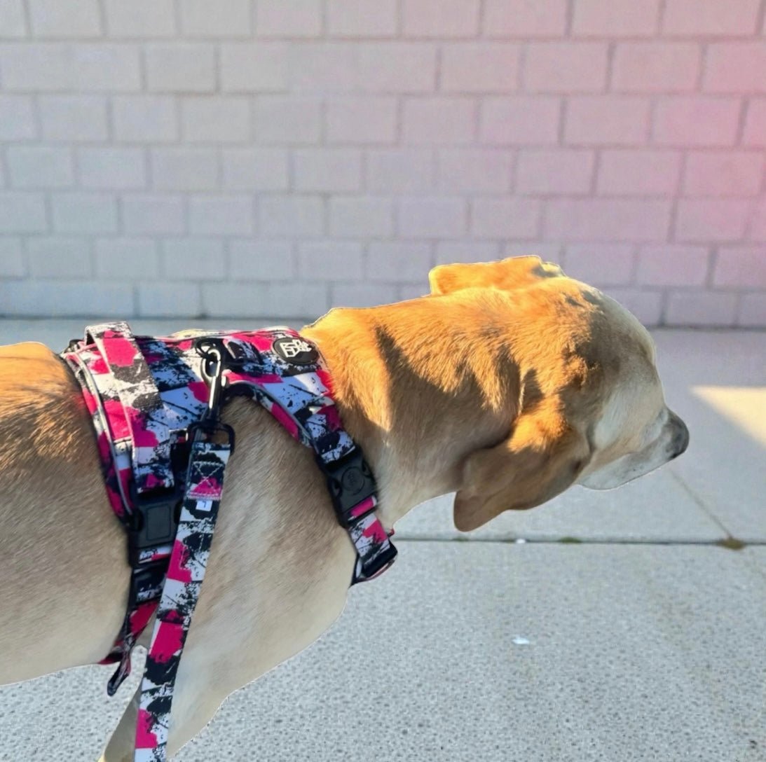 Harnais pour chien robuste – Maintien et sécurité | FRENCHTOUTOU - FRENCHTOUTOU®