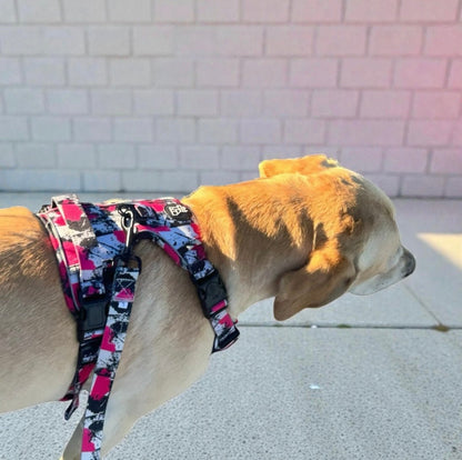 Harnais pour chien robuste – Maintien et sécurité | FRENCHTOUTOU - FRENCHTOUTOU®