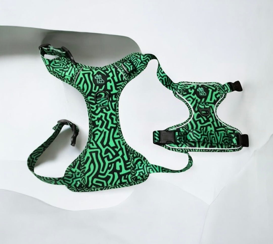 Harnais pour chien robuste – Maintien et sécurité | FRENCHTOUTOU - FRENCHTOUTOU®