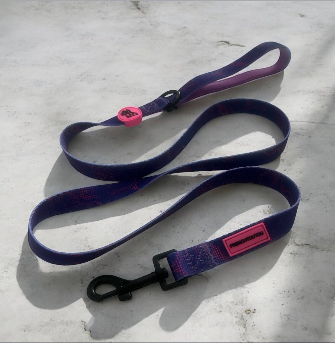 Laisse pour chien résistante – Confort et liberté | FRENCHTOUTOU - FRENCHTOUTOU®