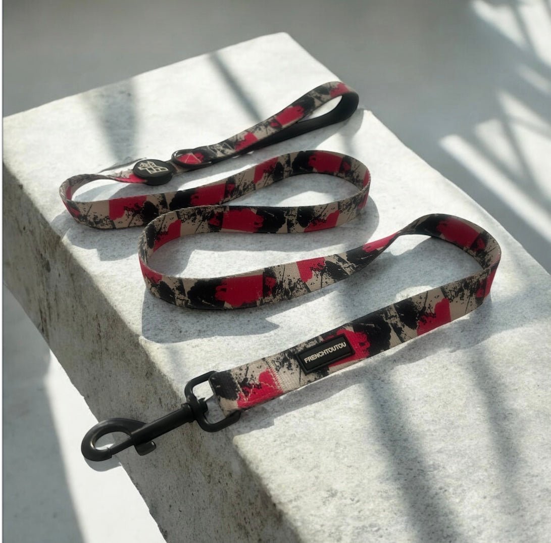 Laisse pour chien résistante – Confort et liberté | FRENCHTOUTOU - FRENCHTOUTOU®
