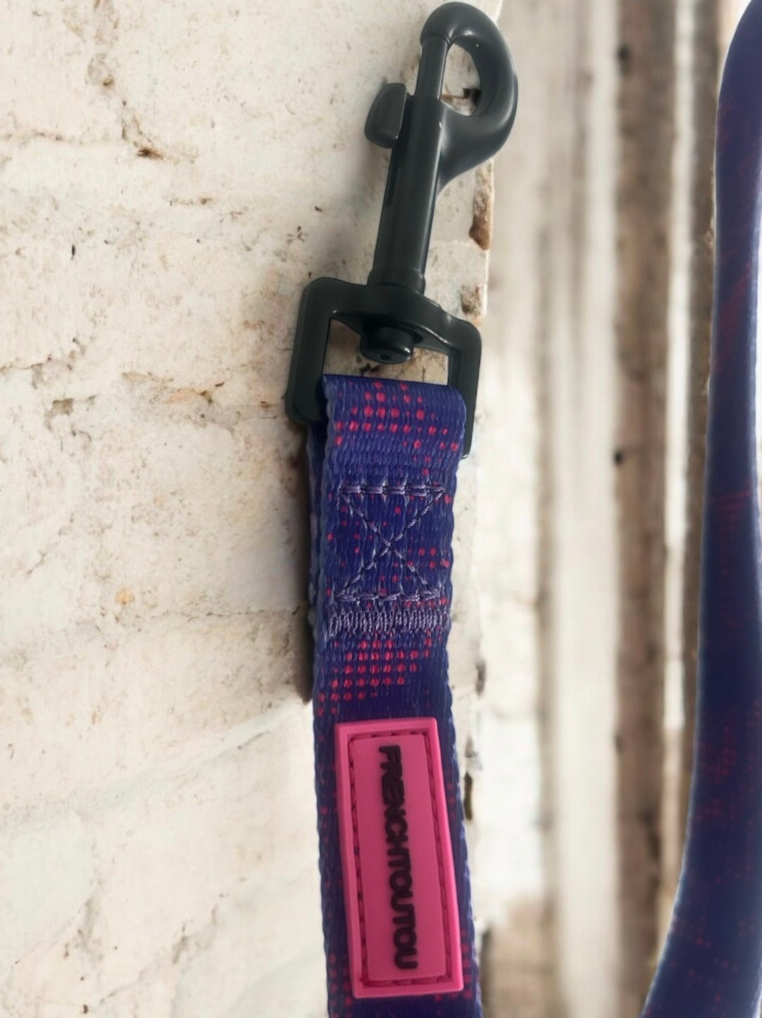 Laisse pour chien résistante – Confort et liberté | FRENCHTOUTOU - FRENCHTOUTOU®